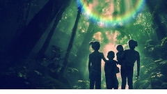 Amazonun Mucize